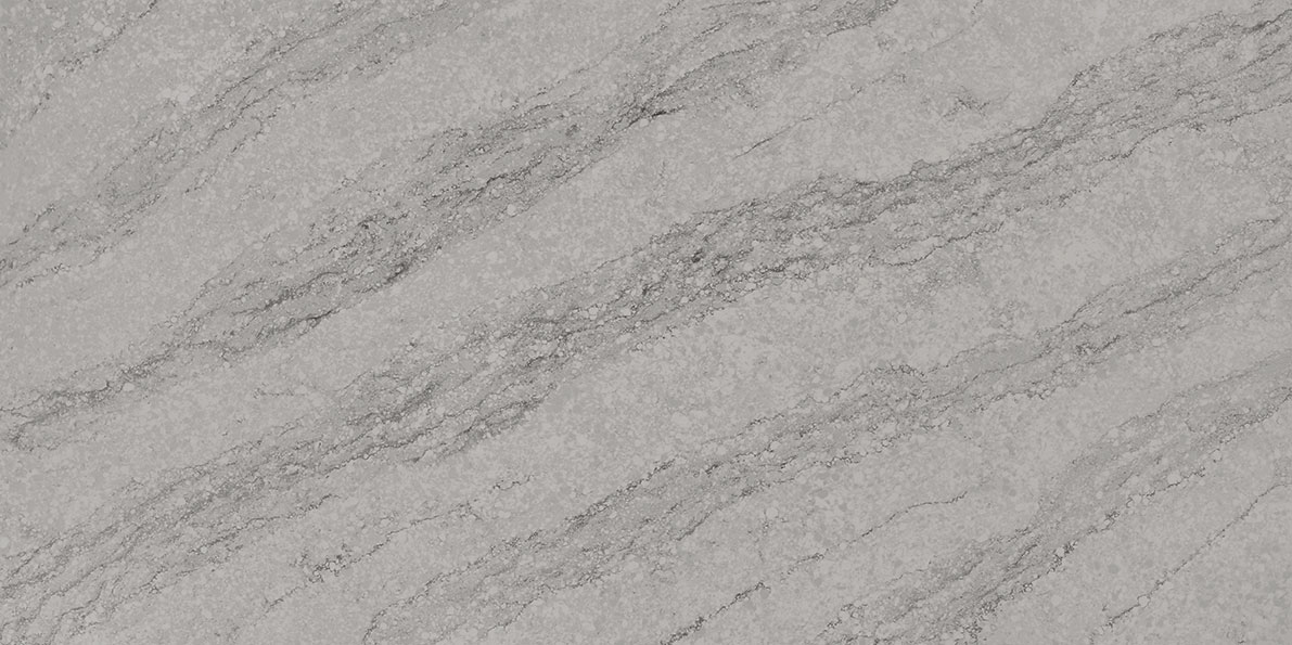 QZ142 Pacific Grey