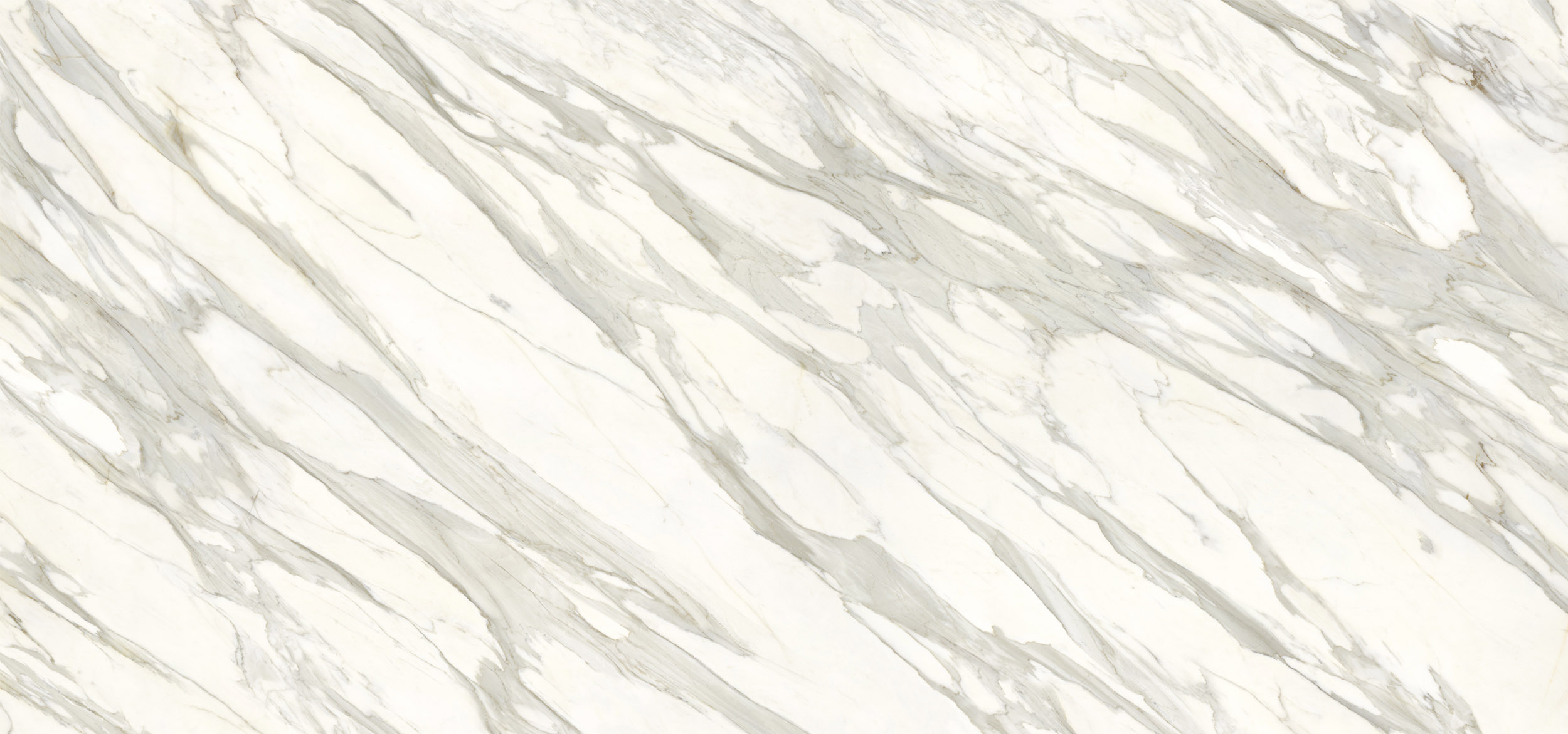 Calacatta Gold CG 01
