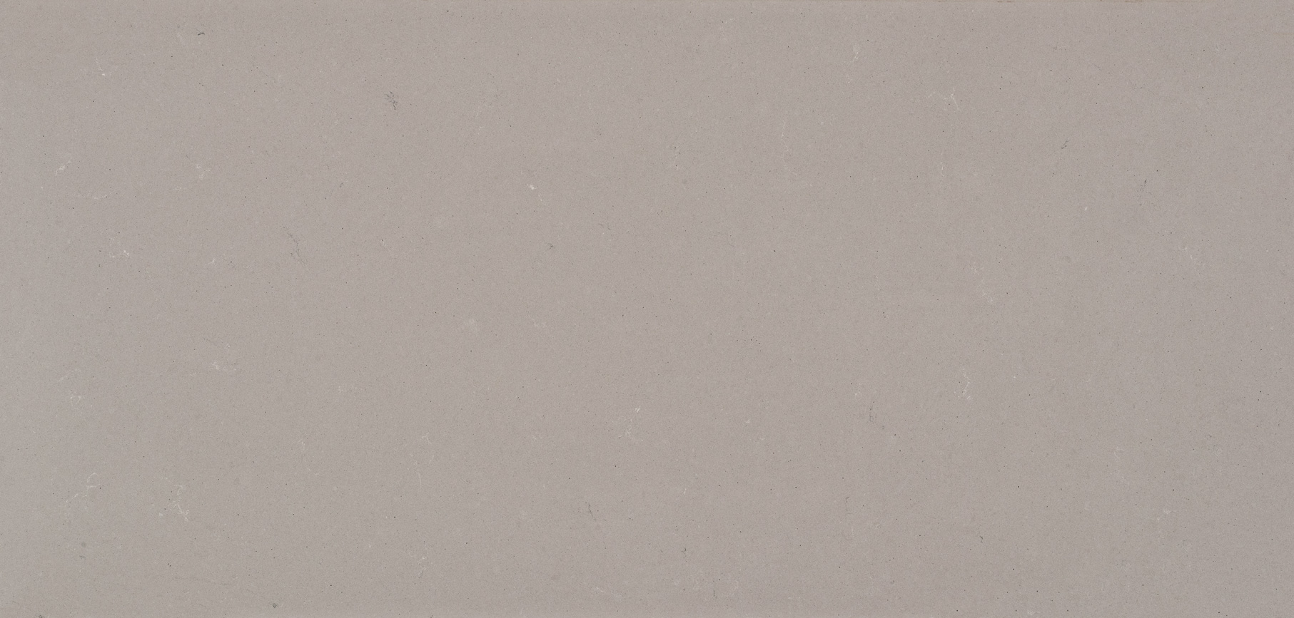 4004 Raw Concrete