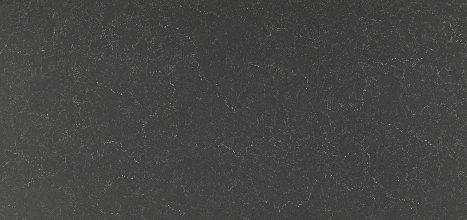 5003 Piatra Grey