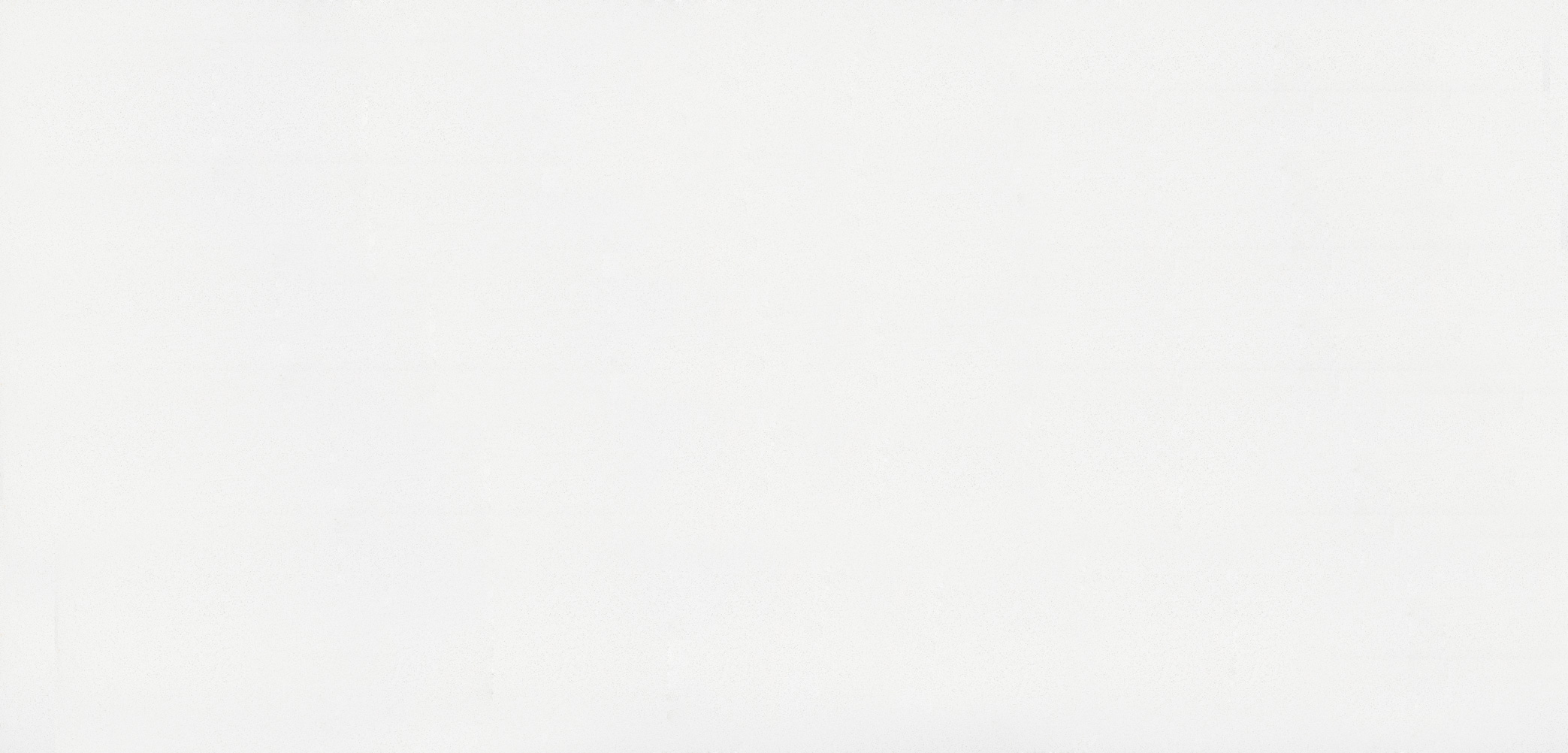 6011 Intense White
